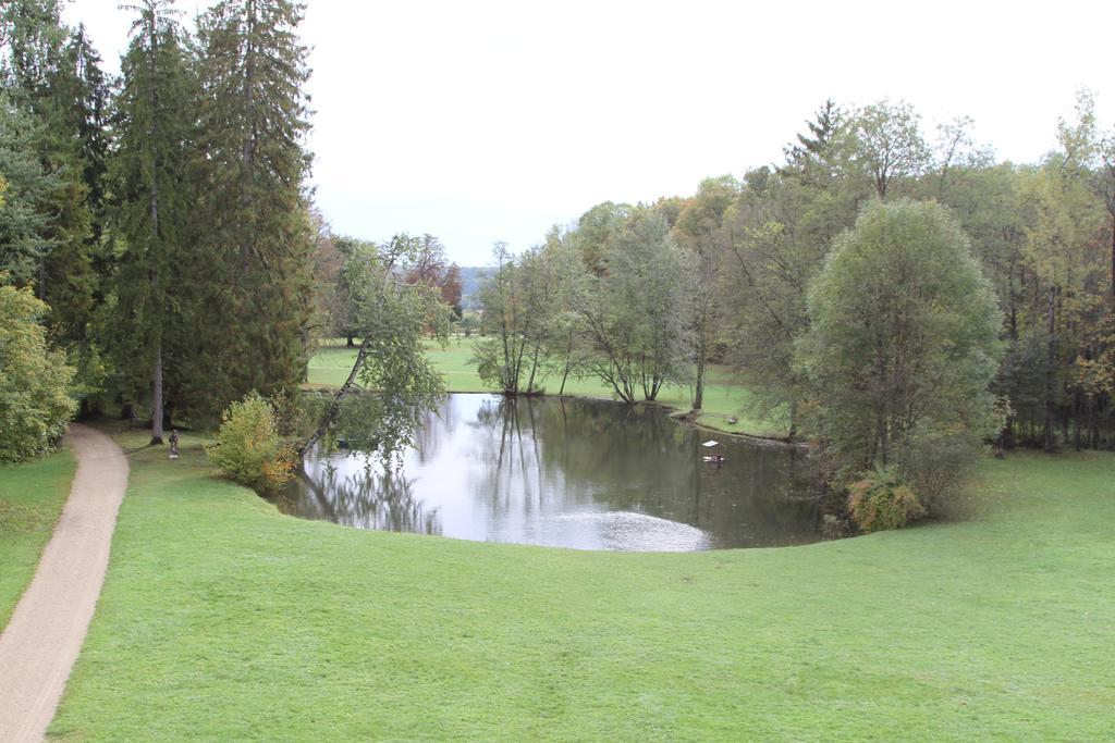 مبيت وإفطار Gevrolles Chateau Du Breuil الغرفة الصورة